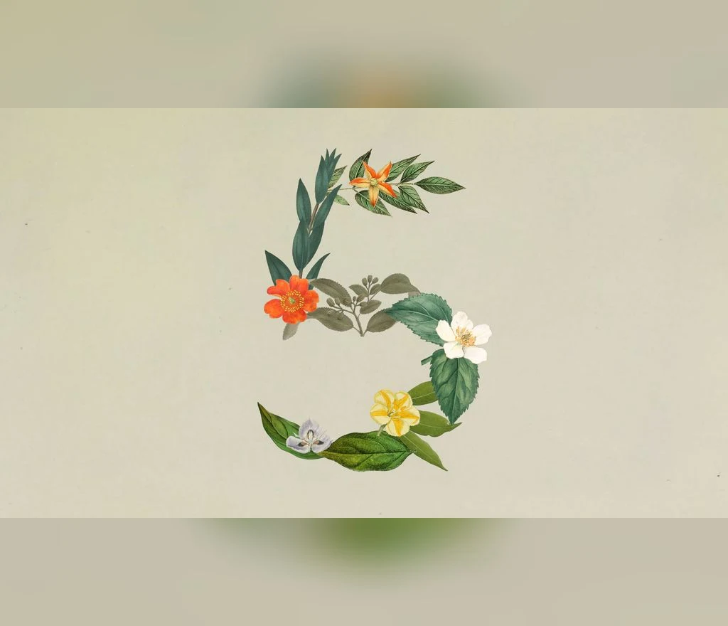 Claude Sonnet 5 — пример работы модели