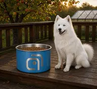 MAI Image 2.5 — пример работы модели